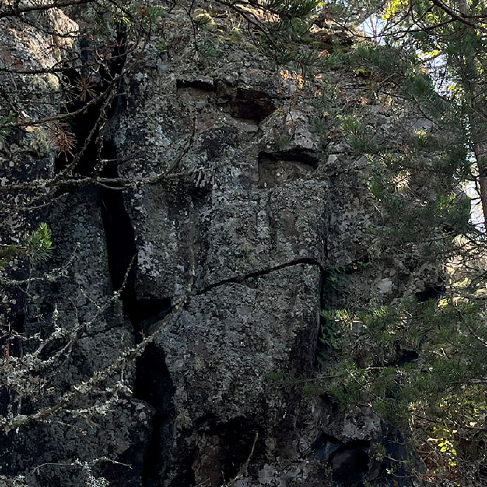 Шардонские острова